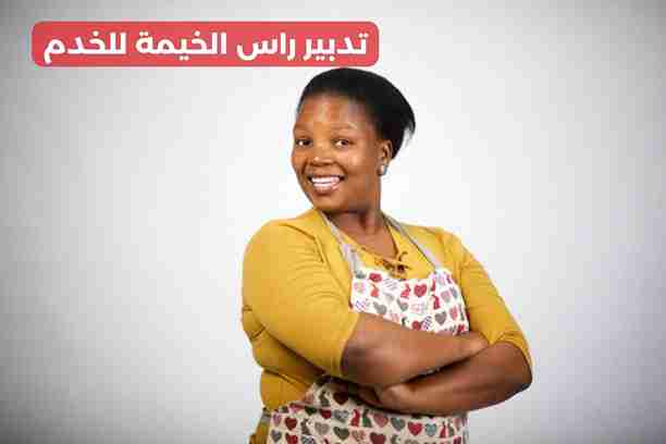 تدبير راس الخيمة للخدم