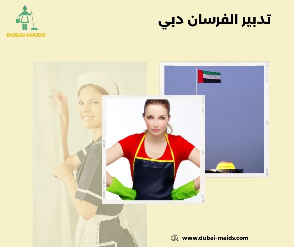 تدبير الفرسان دبي