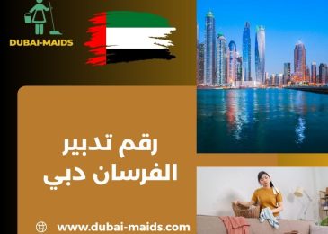 رقم تدبير الفرسان دبي